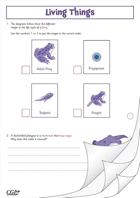 Science Year 5 The Art of Living .